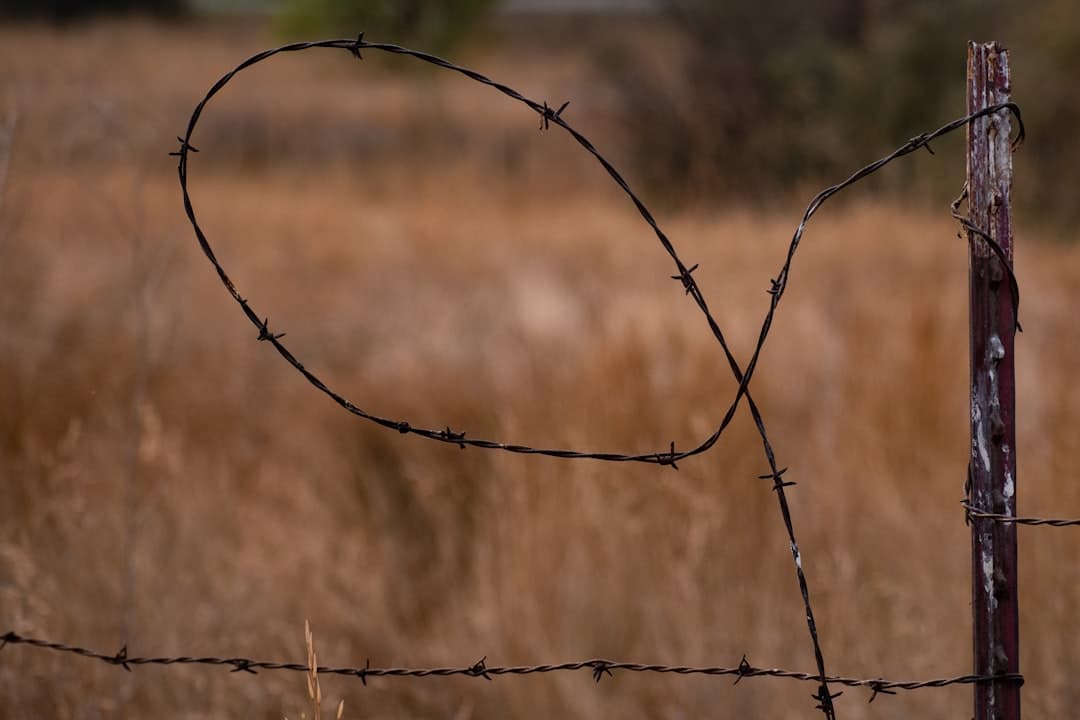파키스탄-아프간 국경 분쟁: 열린 전쟁 선언